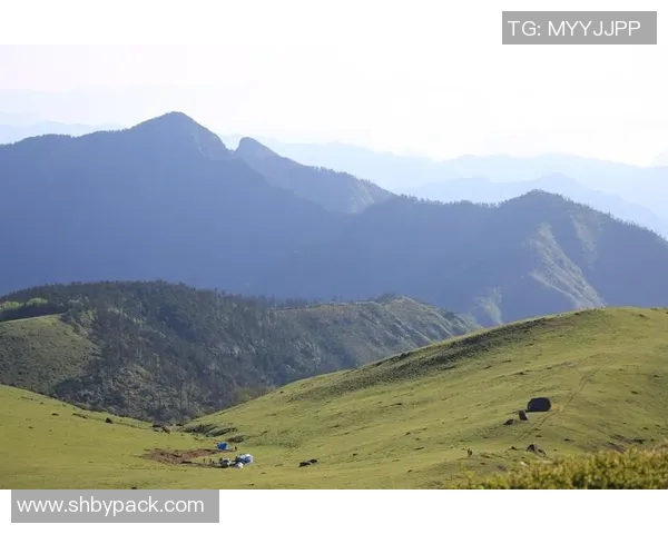 布莱克尼的魅力探秘：历史文化与自然风光的完美融合之旅