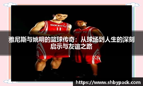 雅尼斯与姚明的篮球传奇：从球场到人生的深刻启示与友谊之路
