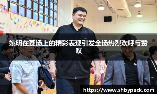 姚明在赛场上的精彩表现引发全场热烈欢呼与赞叹