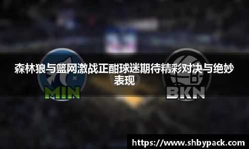 森林狼与篮网激战正酣球迷期待精彩对决与绝妙表现